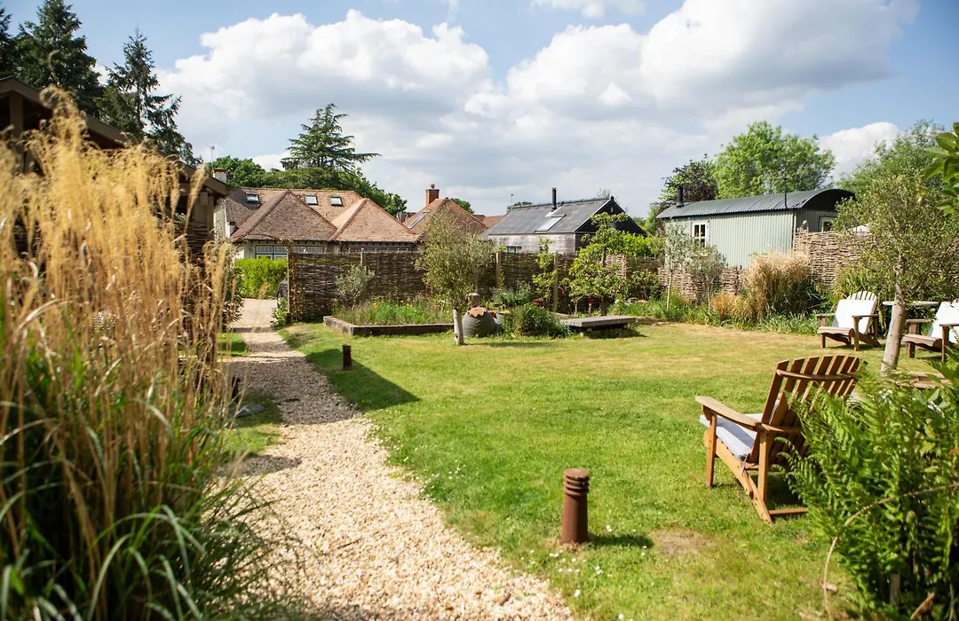 Daisybank Cottage Boutique Bed And Breakfast-1